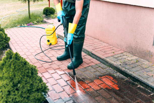 Best Driveway Pressure Washing  in Darnestown, MD